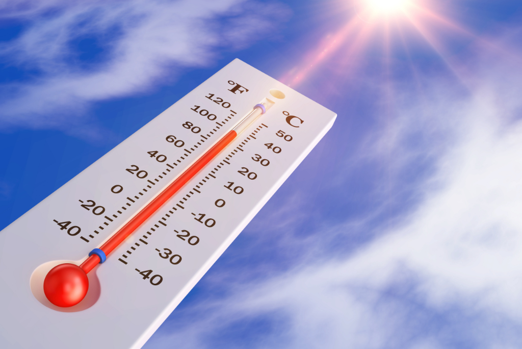 Onda de calor Figueira da Foz